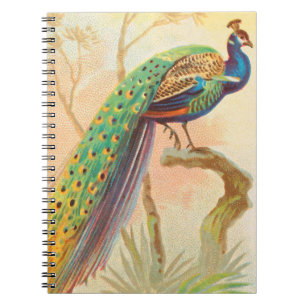 Vintage Peacock on a branch painting Notebook
