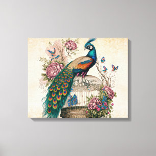 Vintage Peacock on Bird Cage Victorian Canvas Print