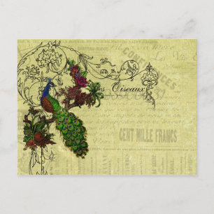 Vintage Peacock on Branch Apparel and Gifts Postcard