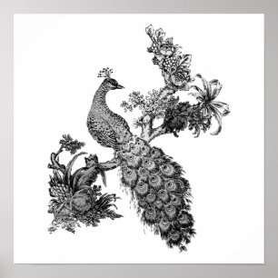 Vintage Peacock on Branch T-shirts and Gifts Poster