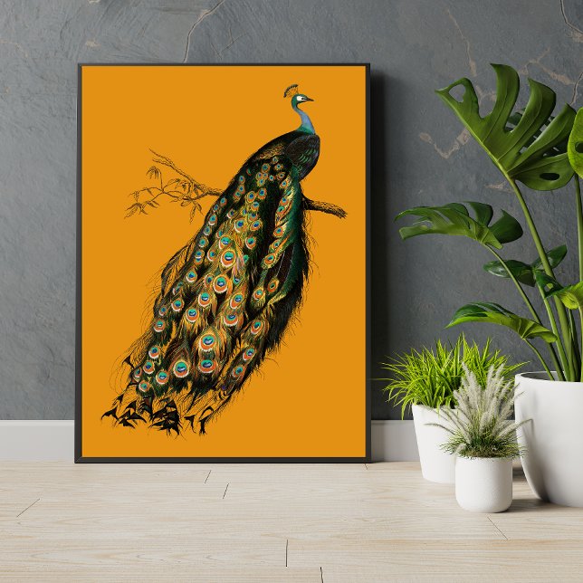 Vintage Peacock on Mustard Yellow Animal Art Print (Creator Uploaded)