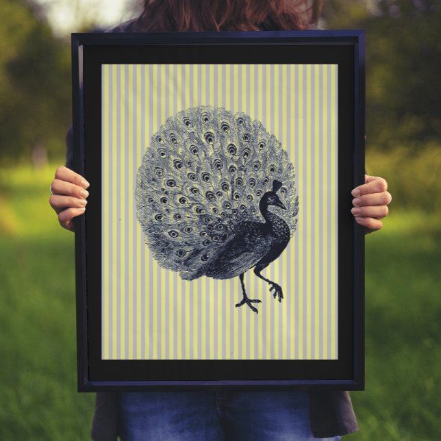 Vintage Peacock on Thin Stripes Poster (Creator Uploaded)