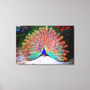 Vintage Peacock Painting Canvas Print