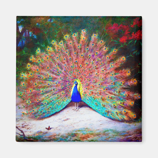 Vintage Peacock Painting Magnet