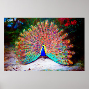 Vintage Peacock Painting Poster