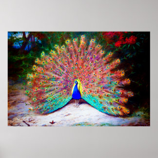 Vintage Peacock Painting Poster