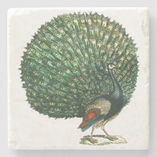 Vintage peacock stone coaster