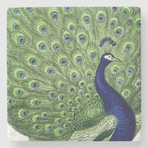Vintage Peacock Stone Coaster