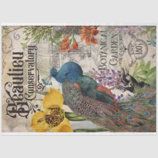 Vintage Peacock Tissue Paper