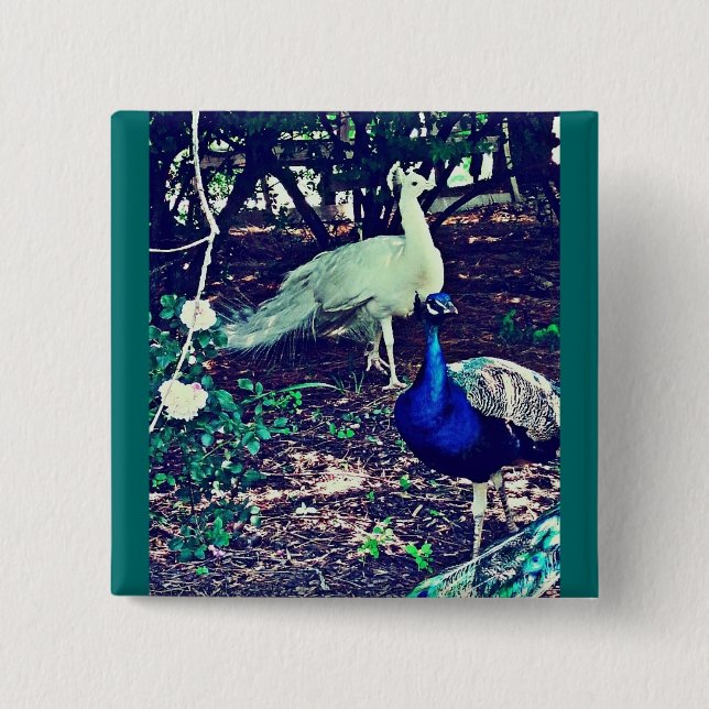 Vintage Peacocks 15 Cm Square Badge (Front)