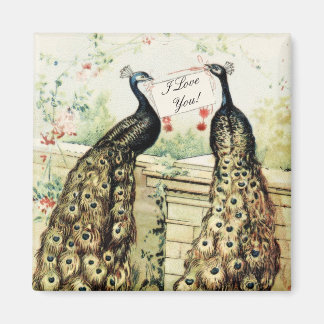 Vintage Peacocks Love Magnet