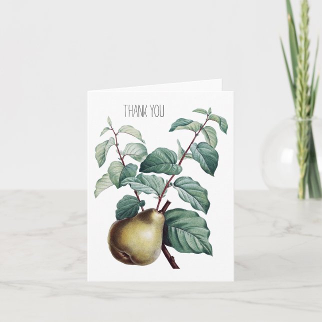 Vintage Pear Thank You Card (Front)