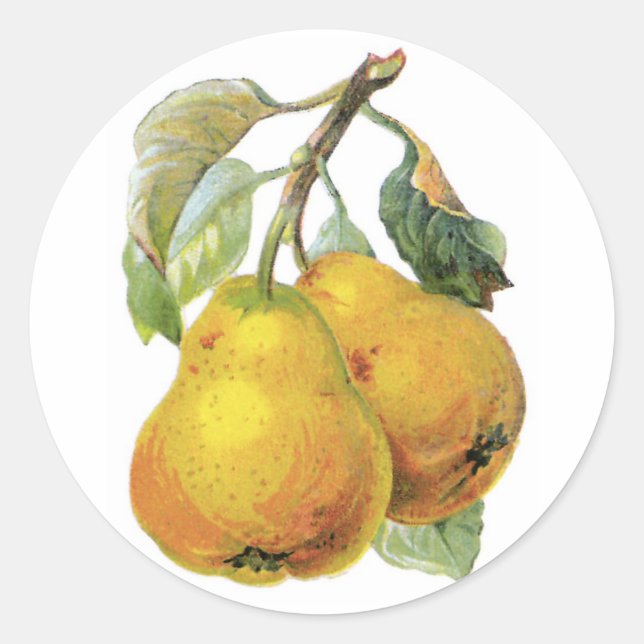 Vintage Pears Classic Round Sticker (Front)