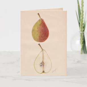 Vintage Pears Greeting Card