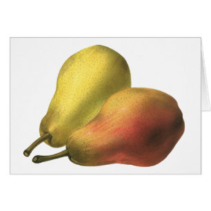 Vintage Pears, Organic Foods, Ripe Fruit