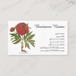 Vintage Peonies, Peony Flowers by Basilius Besler Business Card