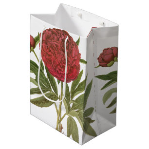 Vintage Peonies, Peony Flowers by Basilius Besler Medium Gift Bag