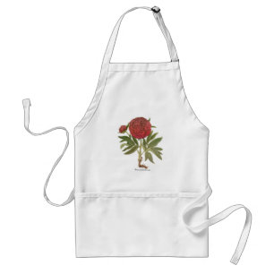Vintage Peonies, Peony Flowers by Basilius Besler Standard Apron