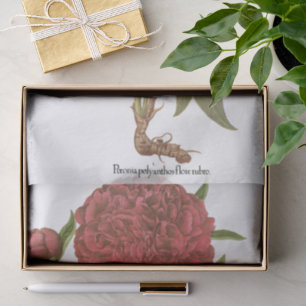 Vintage Peonies, Peony Flowers by Basilius Besler Tissue Paper