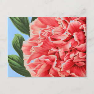 Vintage Peony / Vintage Pfingstrose Postcard