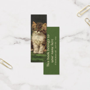 Vintage Pet Animals, Cute Striped Tabby Cat Kitten