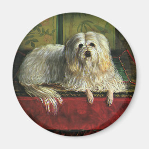 Vintage Pet Animals, Shaggy Sheepdog Dog Magnet