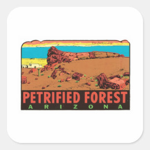 Vintage Petrified Forest Arizona AZ State Label