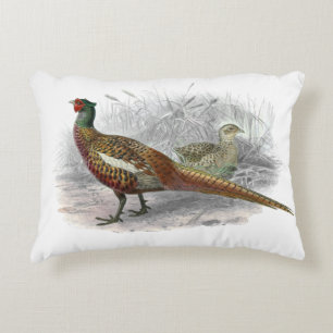 Vintage Pheasant Game Bird Drawing Colour #2 Decorative Cushion