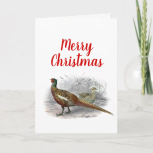 Vintage Pheasant Game Bird Drawing Colour #2 Holiday Card
