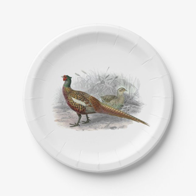 Vintage Pheasant Game Bird Drawing Colour #2 Paper Plate (Front)