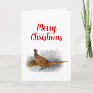 Vintage Pheasant Game Bird Drawing Colour #3 Holiday Card