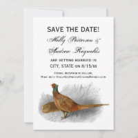 Vintage Pheasant Game Bird Drawing Colour #3