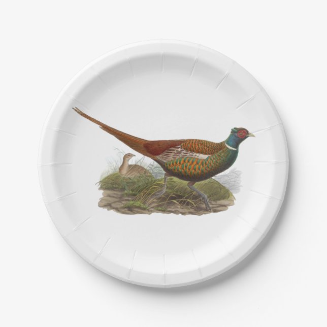 Vintage Pheasant Game Bird Drawing Colour Paper Plate (Front)