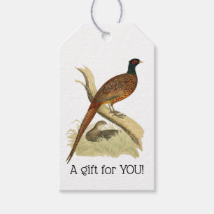 Vintage Pheasant on Branch Game Bird Drawing Colou Gift Tags