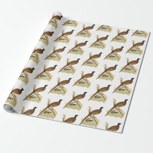 Vintage Pheasant on Branch Game Bird Drawing Colou Wrapping Paper