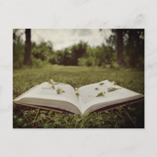 Vintage Photo | Book and Wildflowers Nature Scene Postcard
