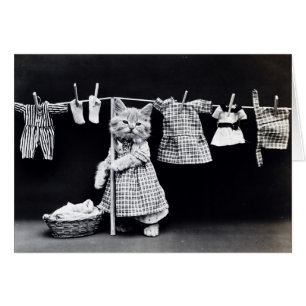 Vintage Photo - Kitty Hanging Laundry,