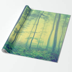 Vintage photo of foggy spring forest. wrapping paper