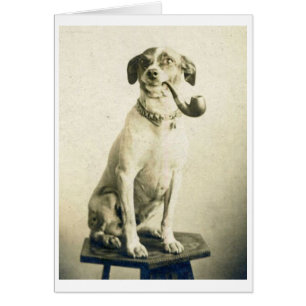 Vintage Photo - Pipe Smoking Dog,