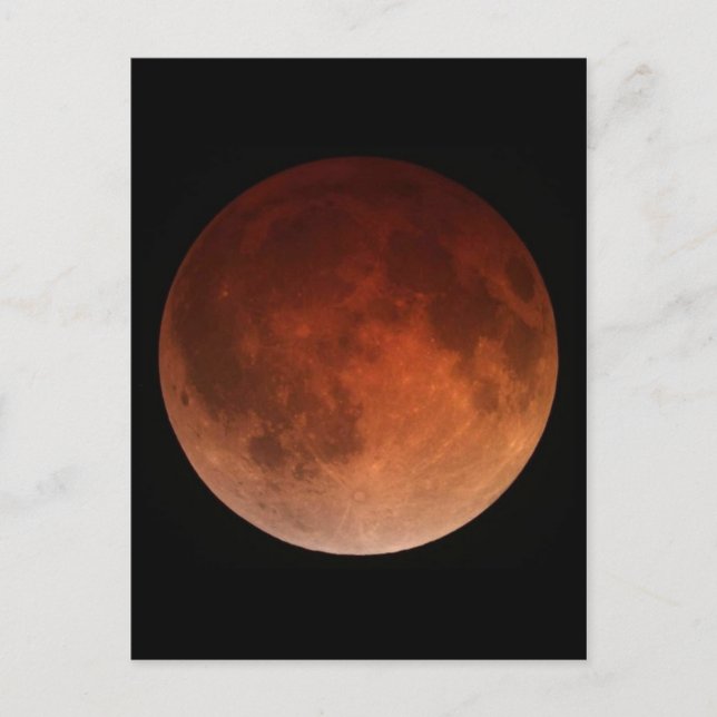 Vintage Photo Postcard (Front)