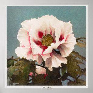 Vintage Photo Poster