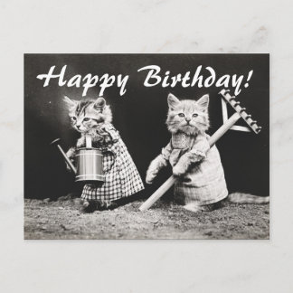 Vintage Photo Two Cats Gardening Postcard