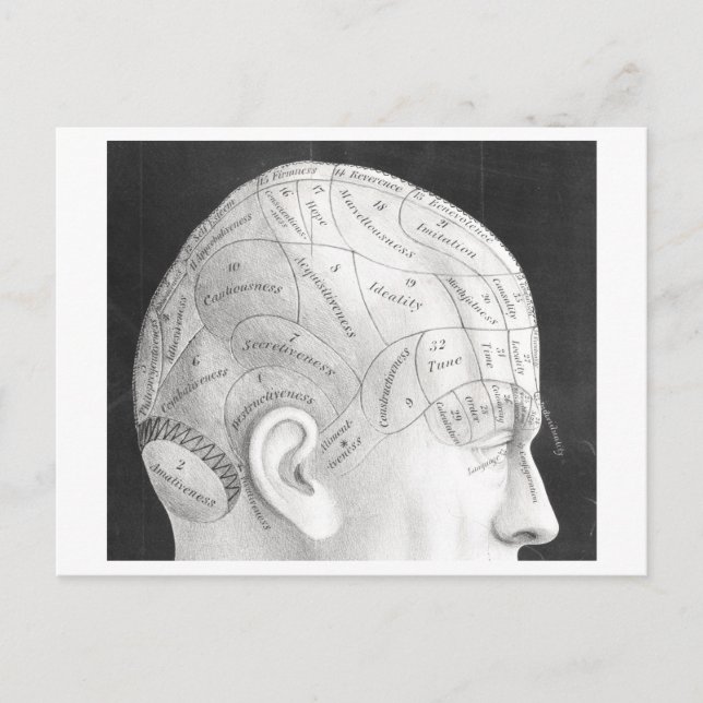 Vintage Phrenology Diagram Postcard (Front)