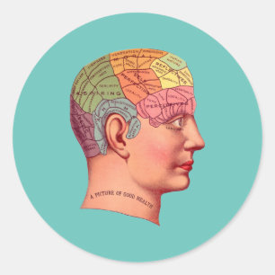 Vintage Phrenology Head Mind Brain Map Classic Round Sticker