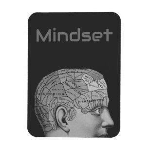 Vintage Phrenology Head Mind Mindset Brain Map Magnet