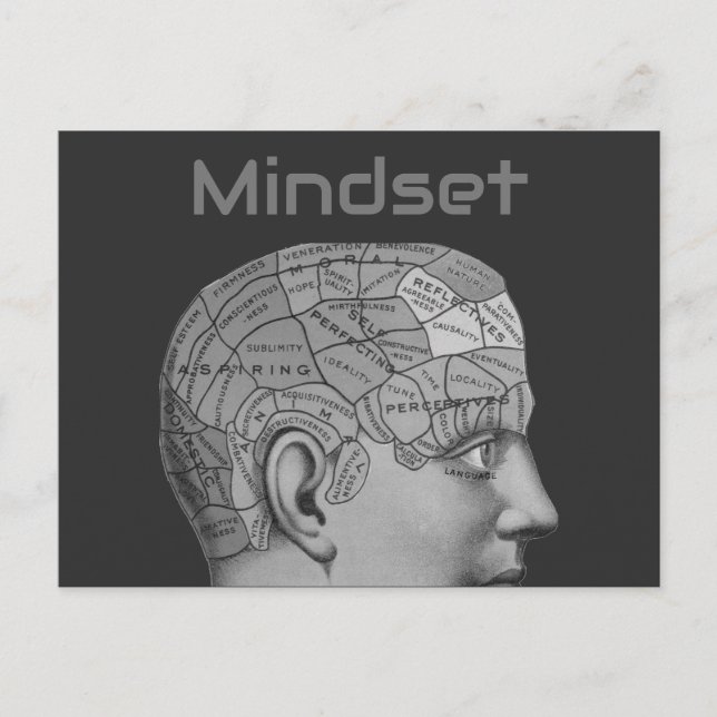 Vintage Phrenology Head Mind Mindset Brain Map Postcard (Front)