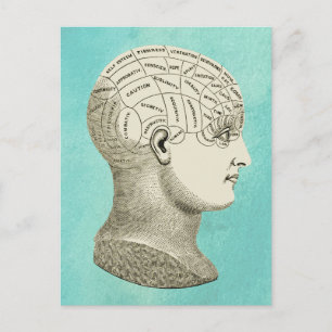 Vintage Phrenology Head Profile Image Postcard