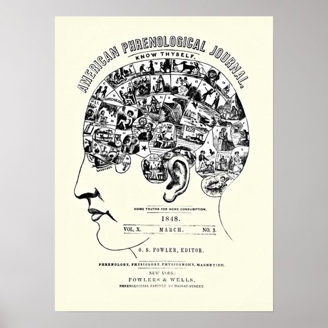 Vintage Phrenology Poster (Front)