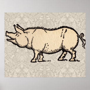 Vintage Pig Antique Piggy Illustration Poster