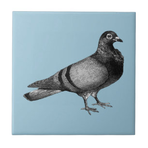 Vintage Pigeon gifts Ceramic Tile